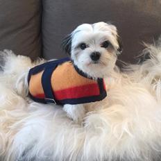 Blanding af racer Mia