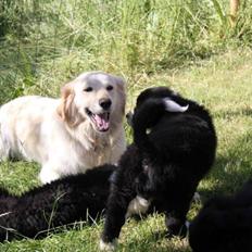 Blanding af racer Chilla 