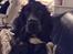 Cocker spaniel Luna <3