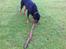 Rottweiler Coco . R.I.P
