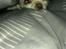 Chihuahua Mischa
