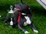 Staffordshire bull terrier Blue Blazer Girl
