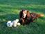 Gravhund Walter