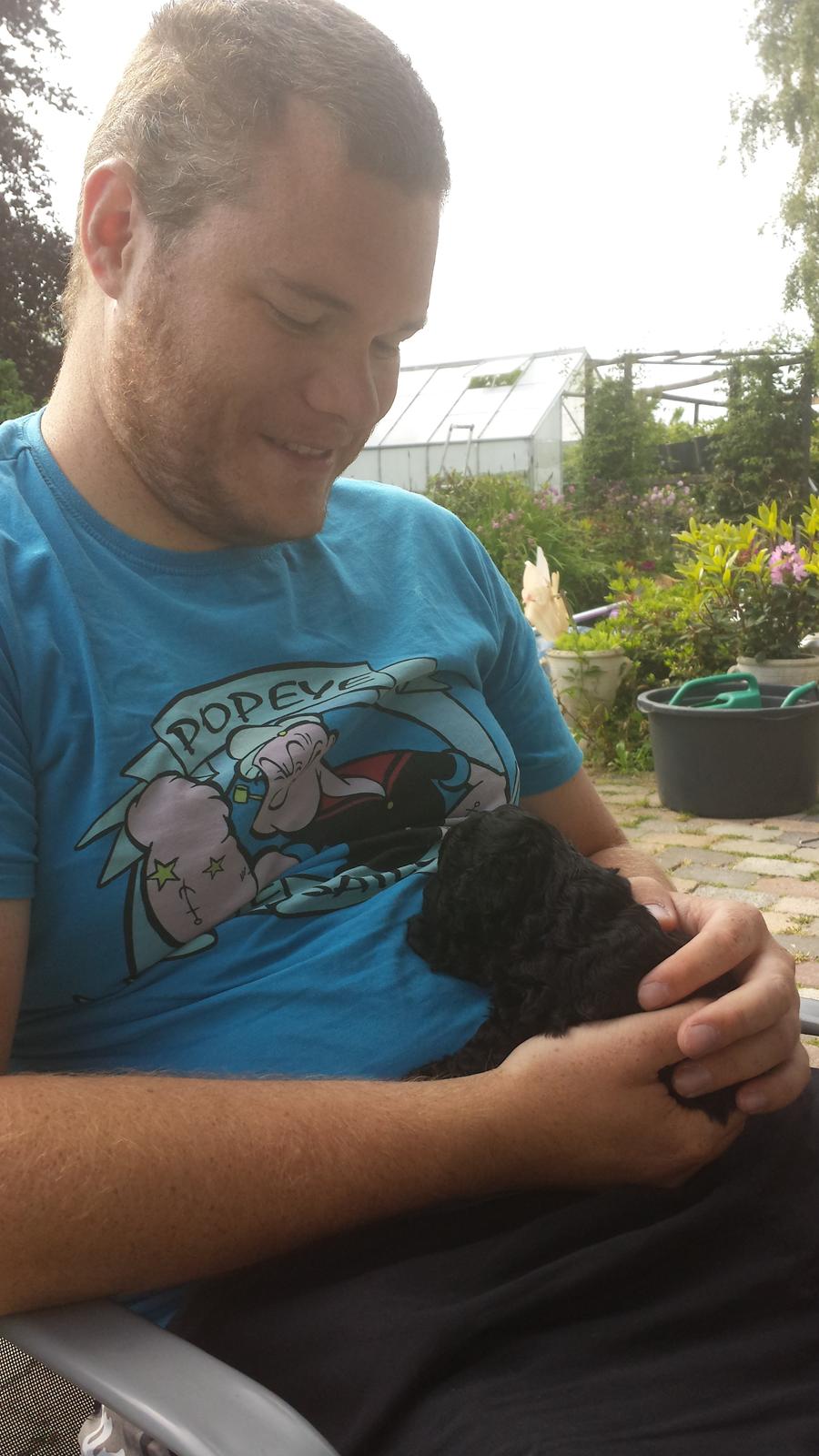 Toypuddel Aton´s Fluffy Cuba billede 3