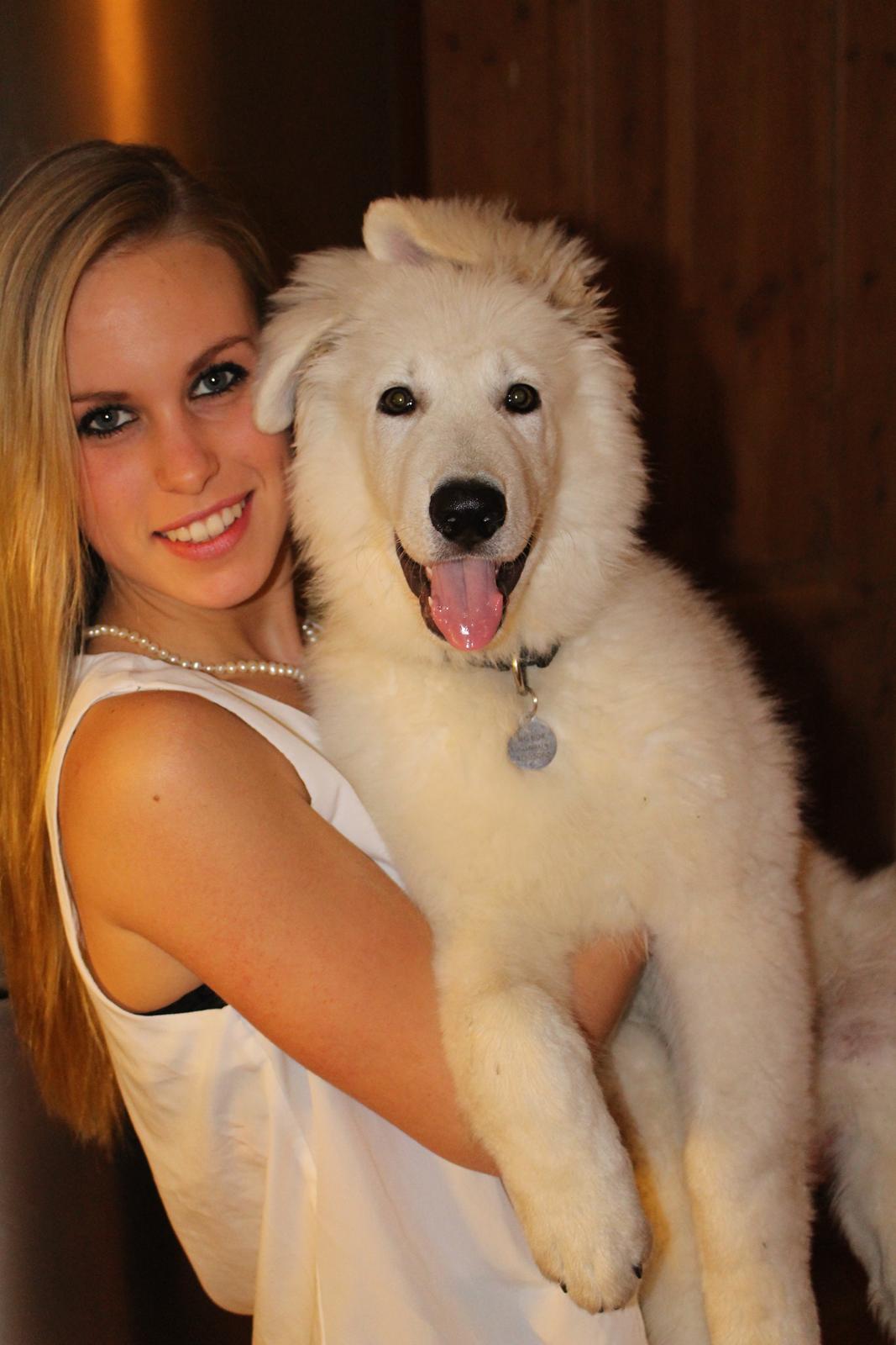 Hvid schæfer Mesh billede 6