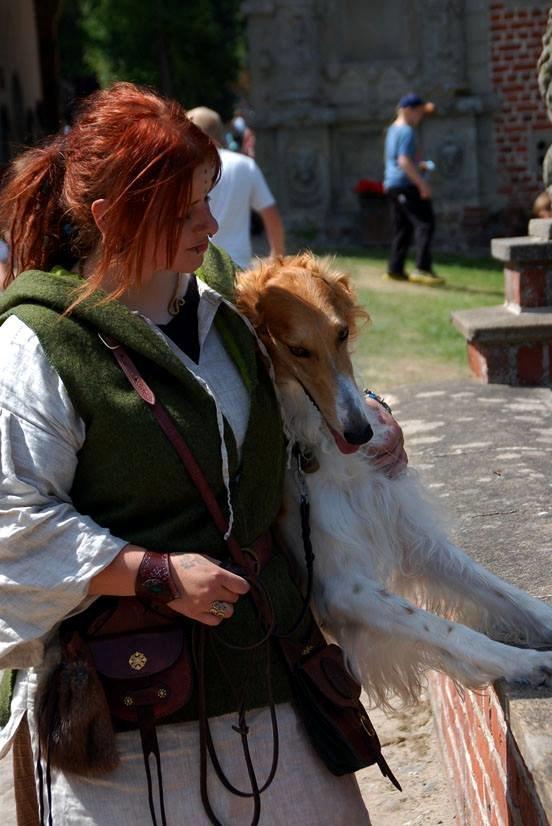 Borzoi - Kashmir 'Wild wind of Russia' billede 21