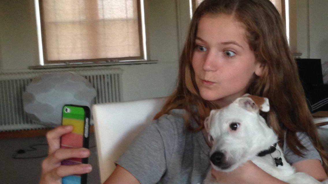 Jack russell terrier Teo billede 9