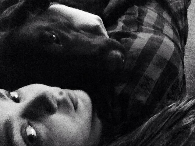 Labrador retriever Zorro billede 24