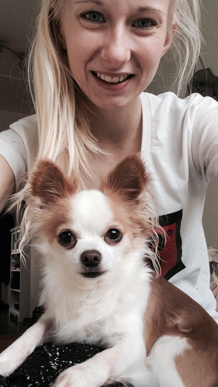 Chihuahua Viktor - Viktor og jeg billede 3