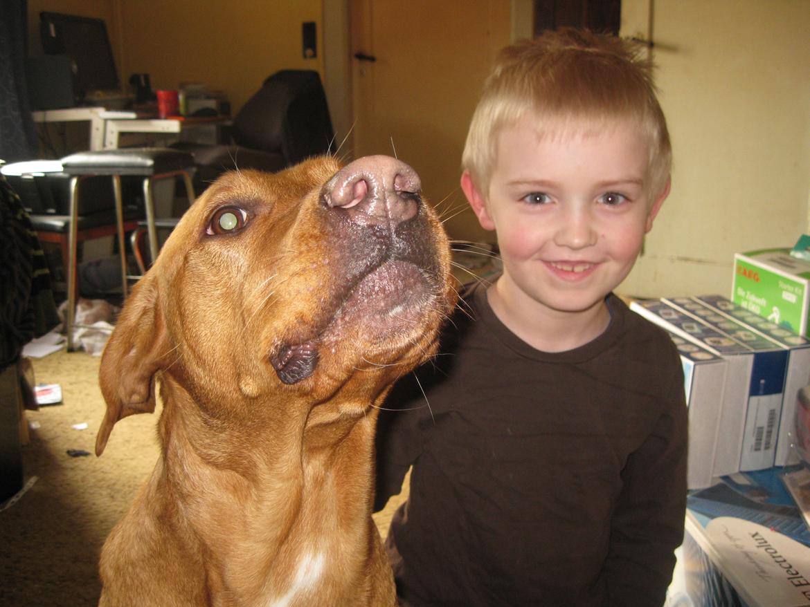 Blanding af racer Kenya billede 23