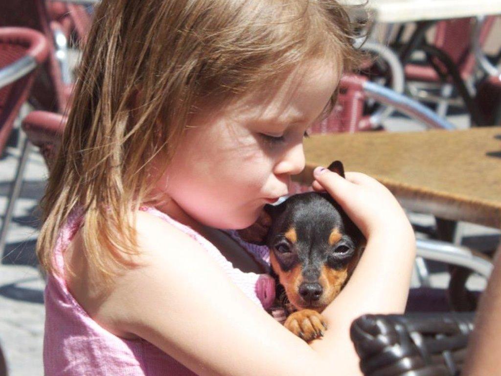 Prazsky krysarik Mille billede 6