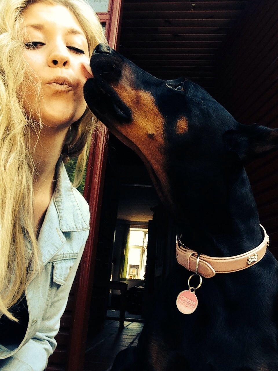 Dobermann Nita di altobello <3 billede 24