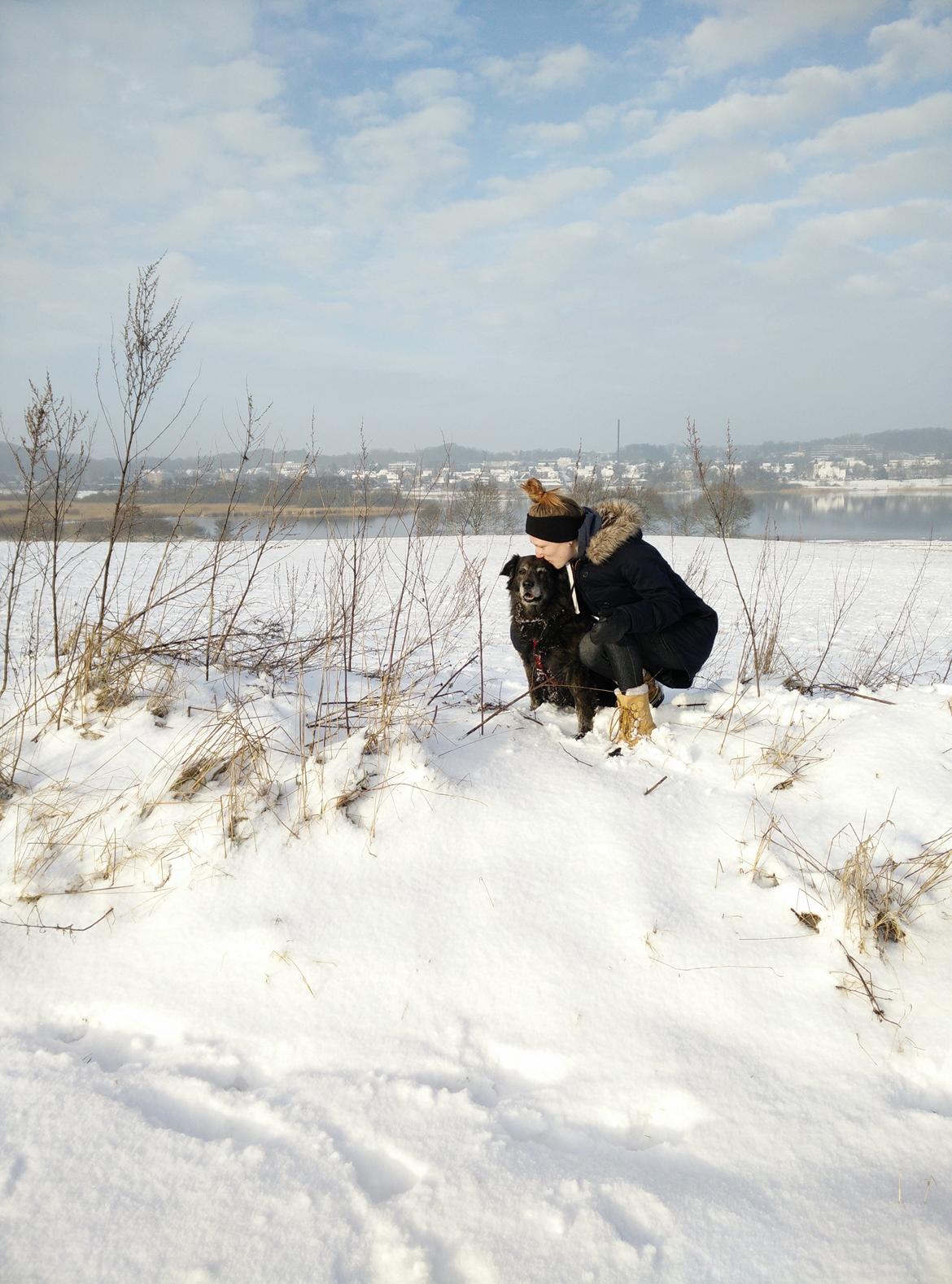 Blanding af racer Freja billede 17