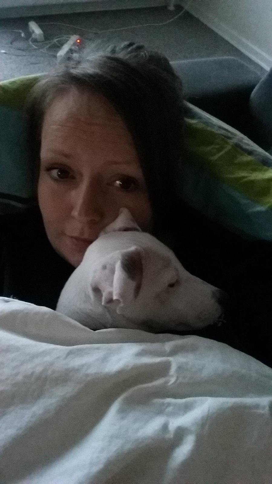 Jack russell terrier Spot of Top Noch (jackson) R.I.P billede 4