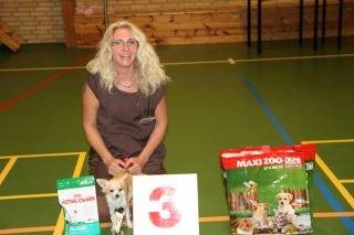 Chihuahua Allie - BIS 3 billede 26