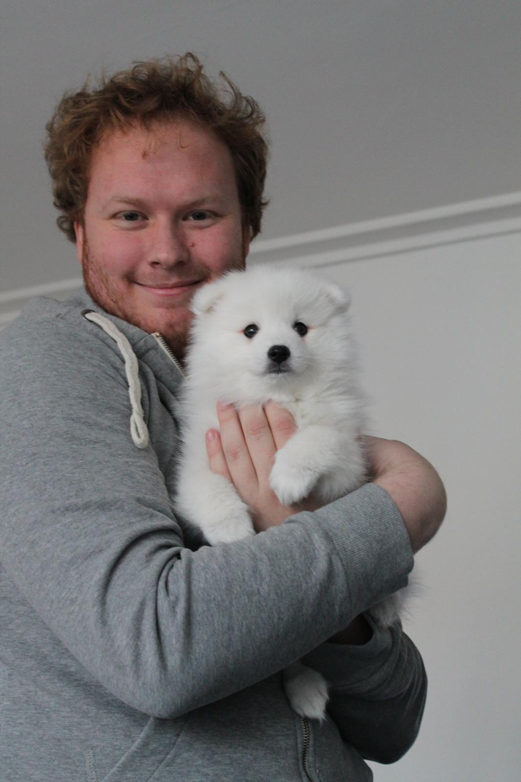 Japansk spids Aggie billede 13