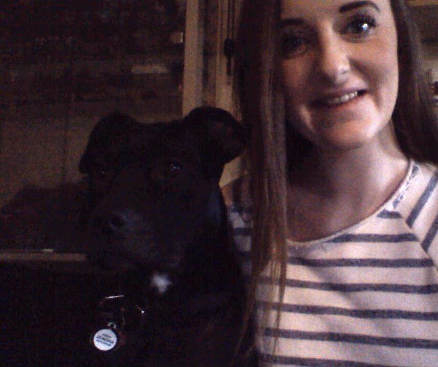 Blanding af racer Shaggie (himmelhund<3) billede 10