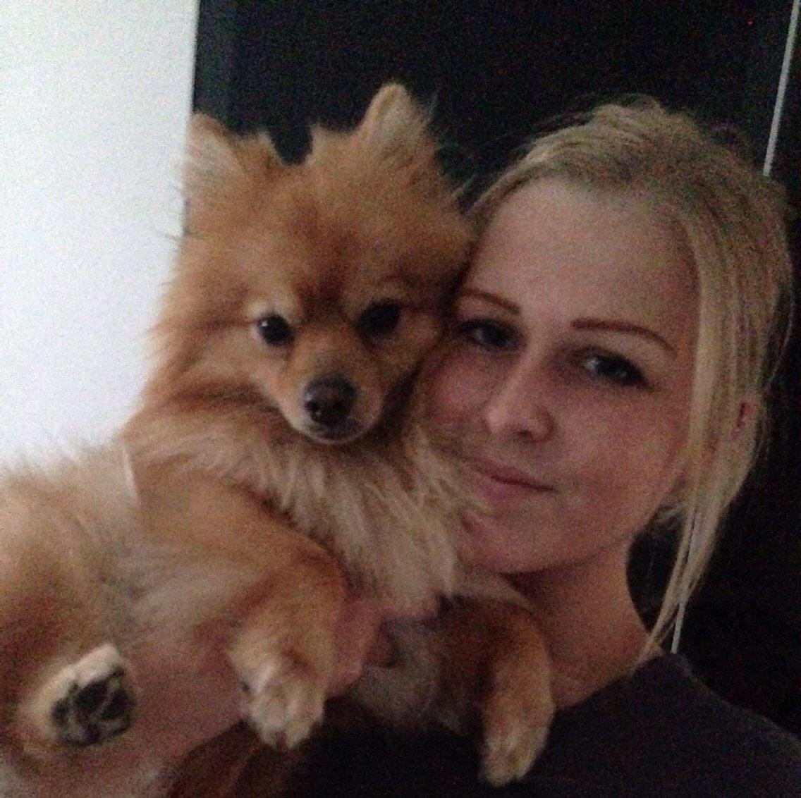 Pomeranian Topsy's Lasko billede 48