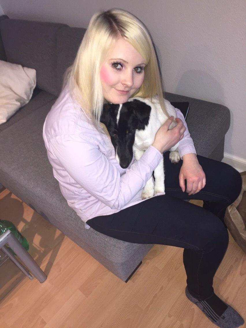 Glathåret foxterrier Charlie billede 36