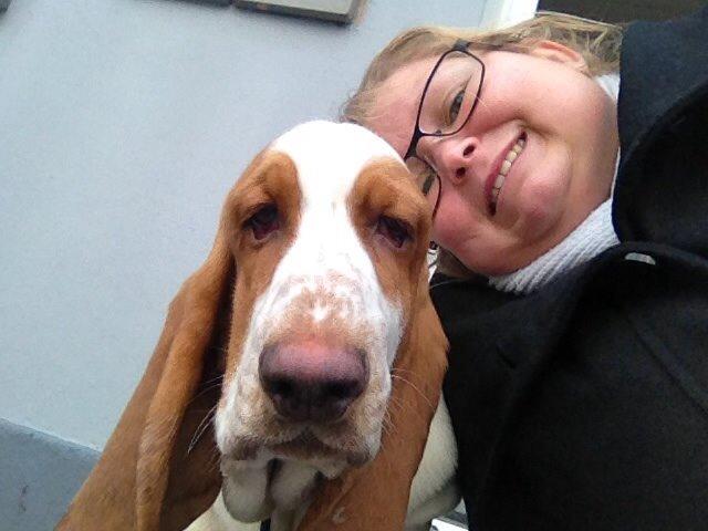 Basset hound Bassbarr Holy Moses/Buller billede 9