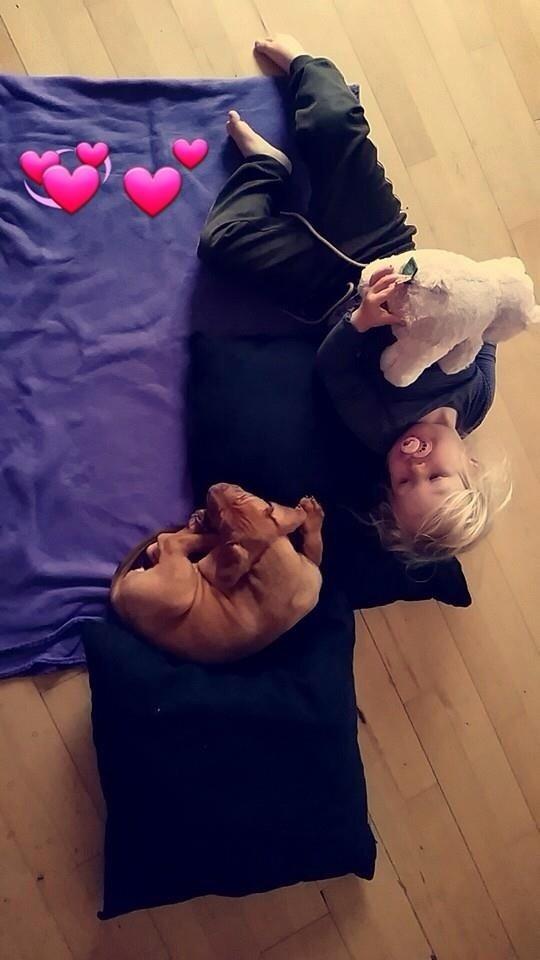 Blanding af racer Jamil billede 9