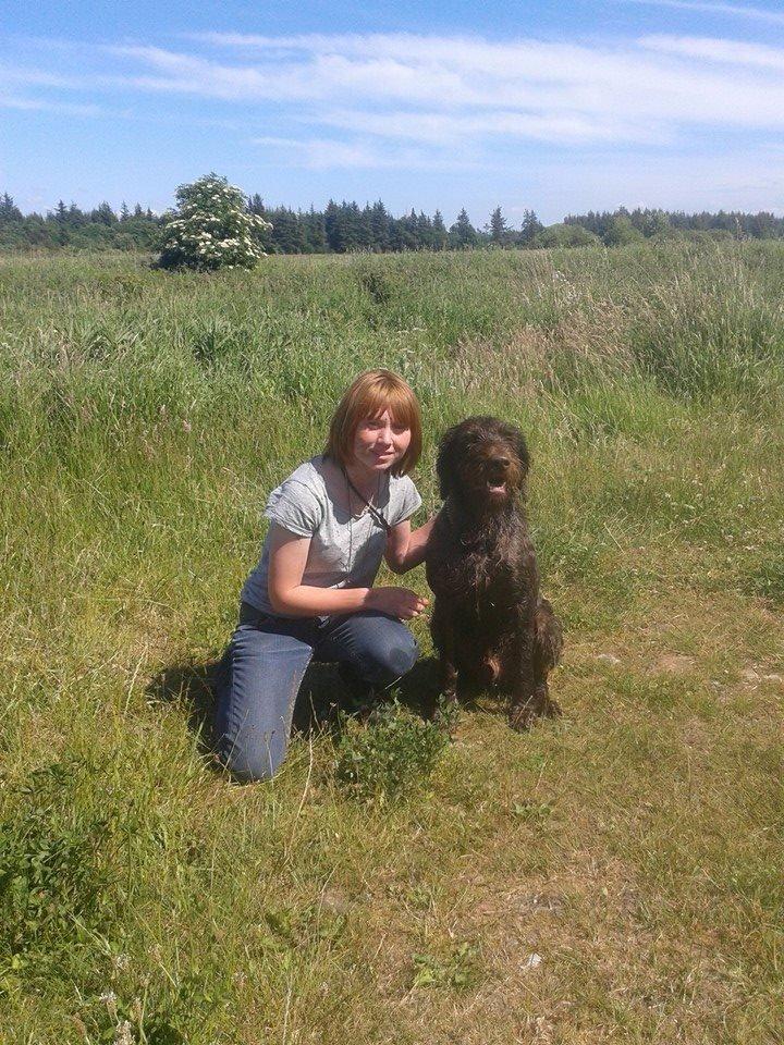 Ruhåret hønsehund Birkemosens Luchs billede 35