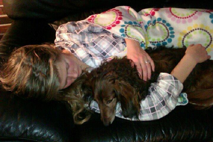 Gravhund Walter billede 16