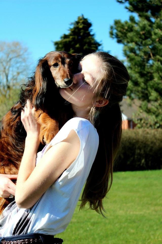 Gravhund Walter billede 17