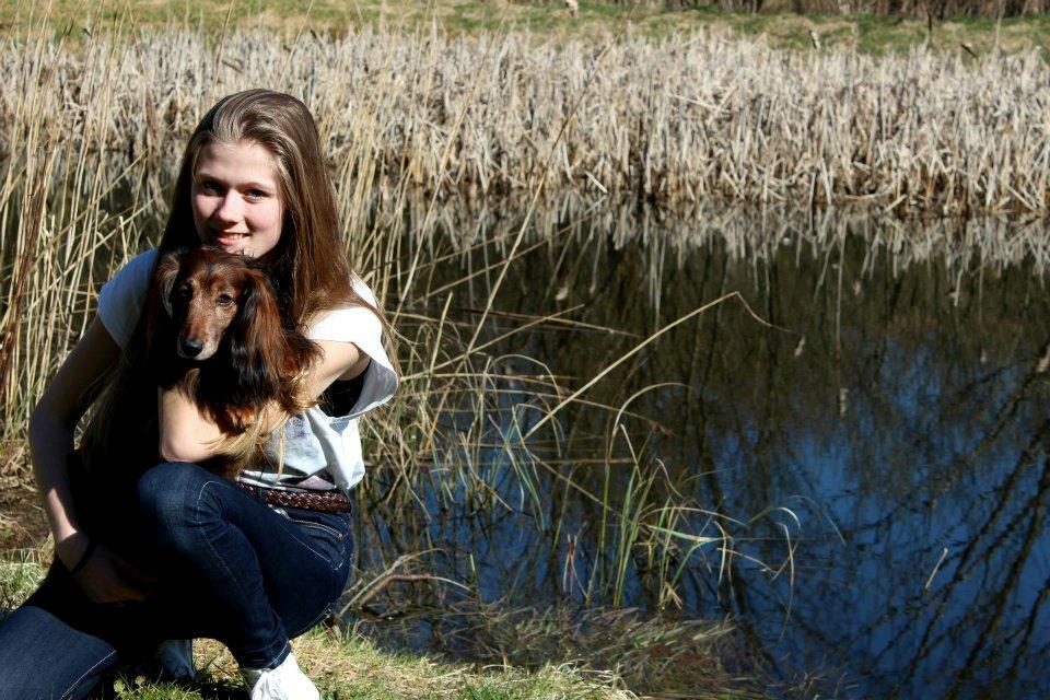 Gravhund Walter billede 23