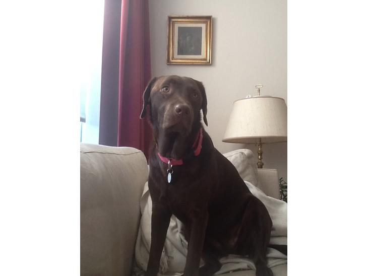 {{currentPhoto.altText}} billede {{currentPhoto.number}}