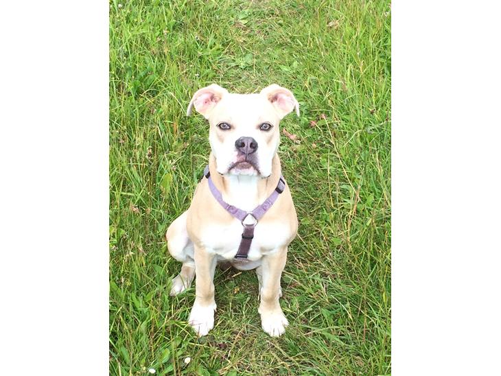 {{currentPhoto.altText}} billede {{currentPhoto.number}}