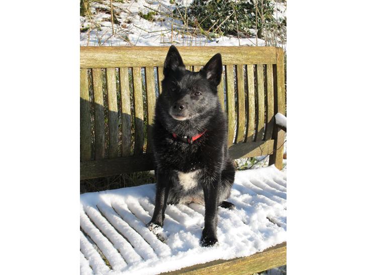 {{currentPhoto.altText}} billede {{currentPhoto.number}}