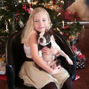 Boston terrier Carried with pride (LUNA)