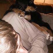 Blanding af racer Ronja