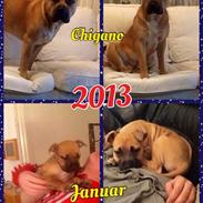 Blanding af racer Chigano