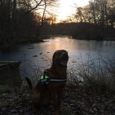 Blanding af racer ArNold<3