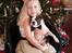 Boston terrier Carried with pride (LUNA)