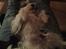 Biewer yorkshire terrier Aischa - Slapper af hos far