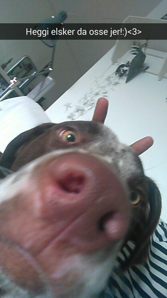 Blanding af racer hector billede 2