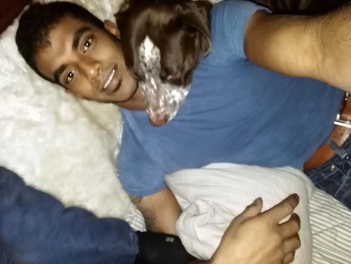 Blanding af racer hector billede 12