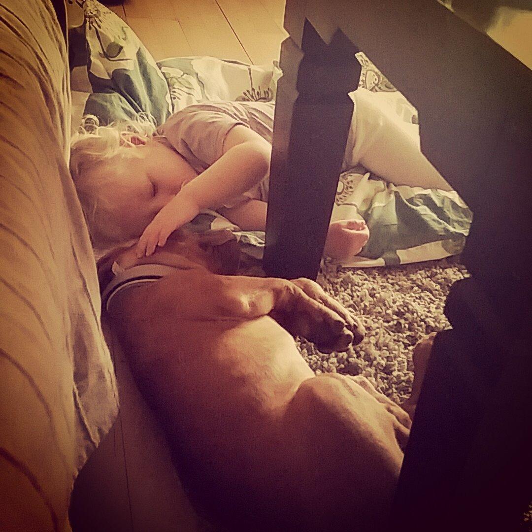 Blanding af racer Jamil billede 4