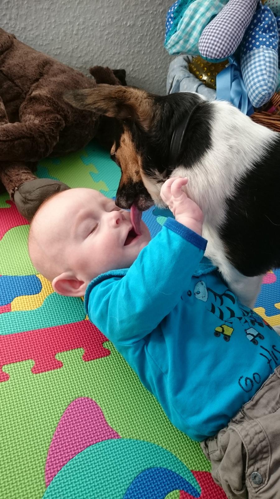 Blanding af racer Cody billede 8