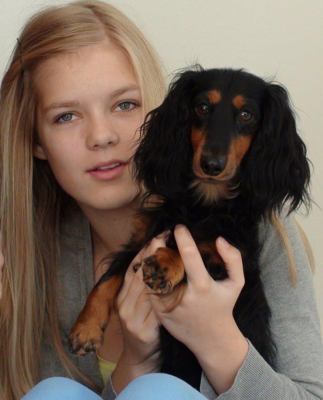 Gravhund Lileimo Petit Black Bugatti billede 2