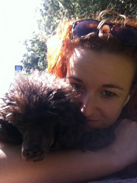 Toypuddel Salsa billede 18