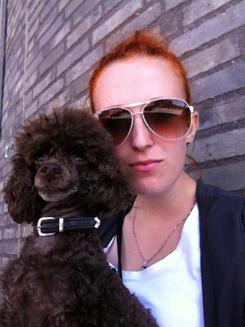 Toypuddel Salsa billede 23