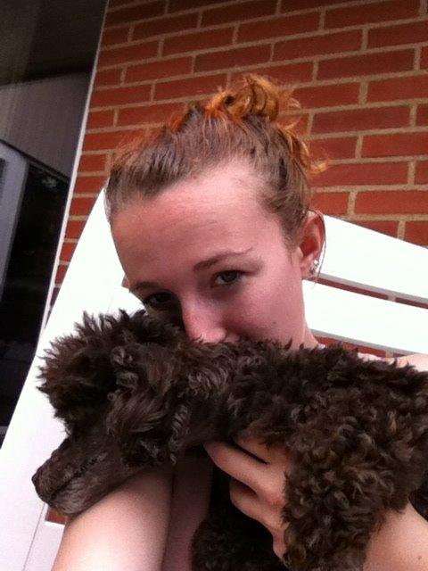 Toypuddel Salsa billede 15