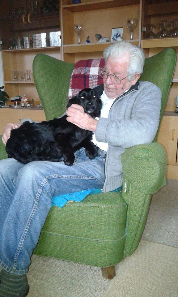 Blanding af racer Kasey billede 4