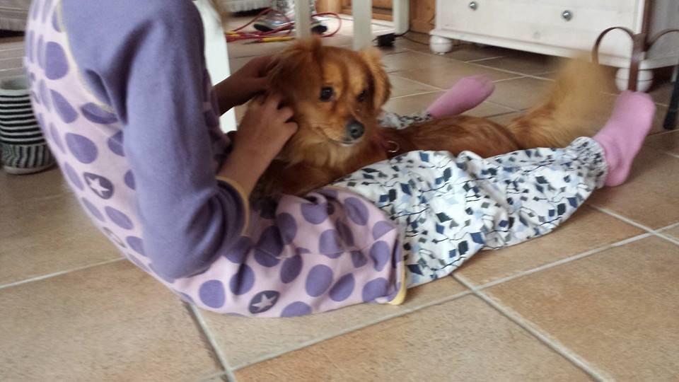 Blanding af racer Sally billede 2