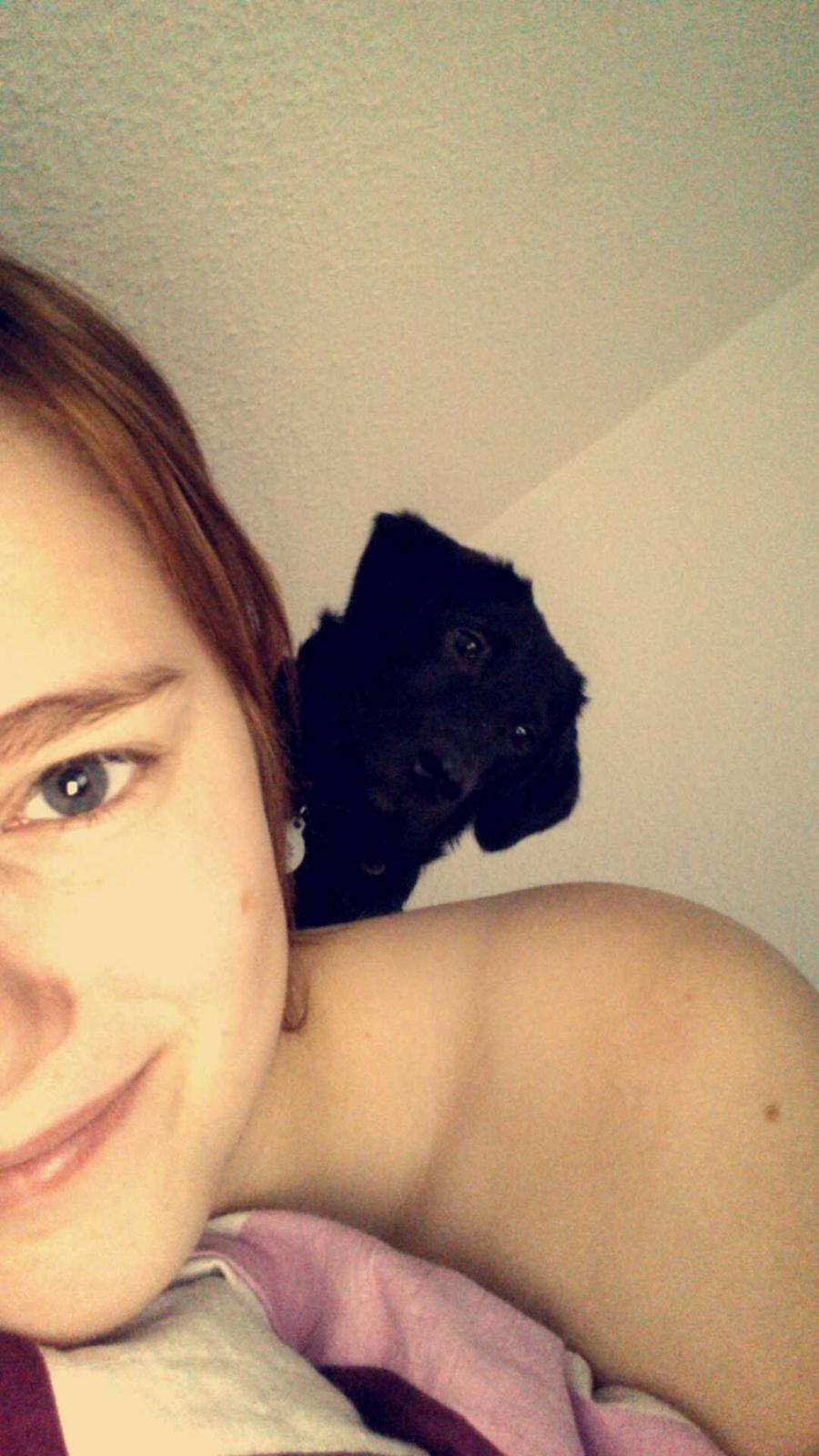 Blanding af racer Bella billede 11