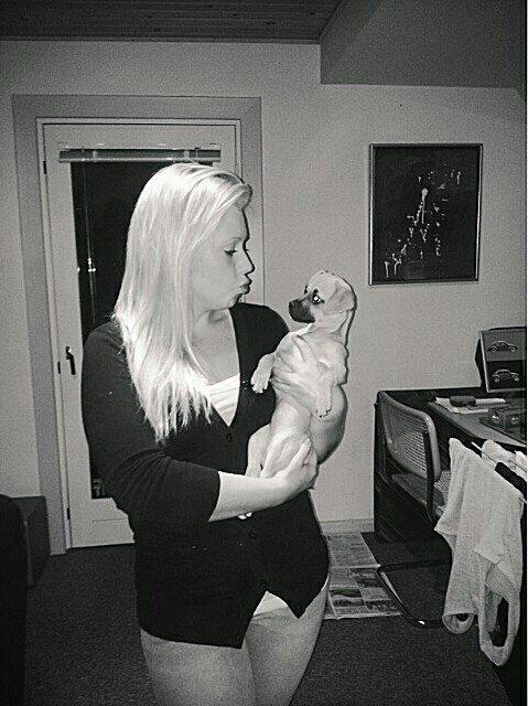 Blanding af racer Zoéy  ( himmel hund) billede 2